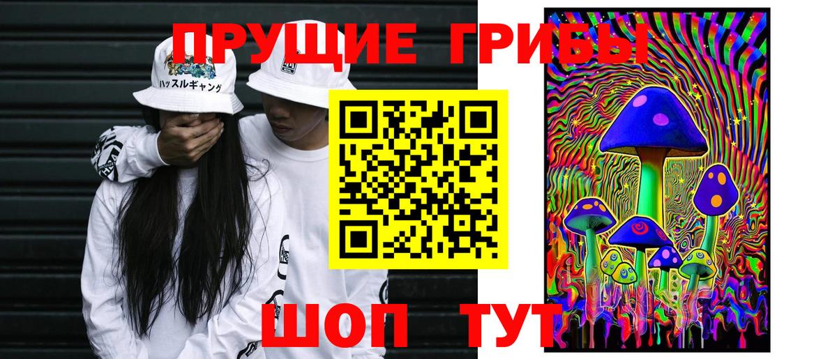 Галлюциногенные грибы Psilocybine cubensis Тверь