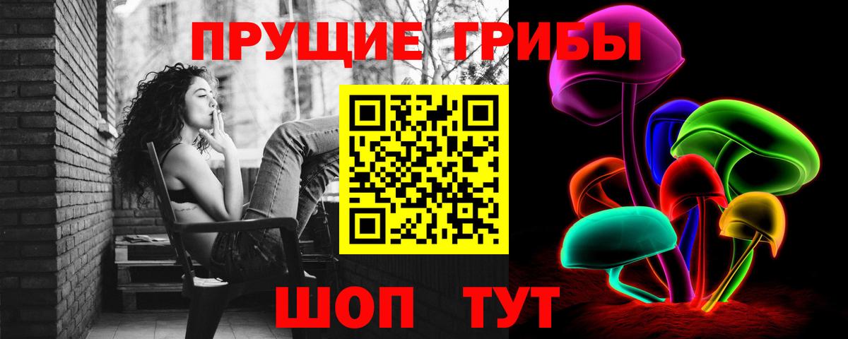 Псилоцибиновые грибы Cubensis  Вход с VPN  Тверь 